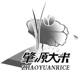ZHAOYUANRICE