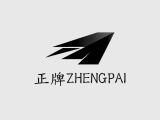 ZHENGPAI logo