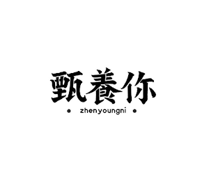 ZHENYOUNGNI logo