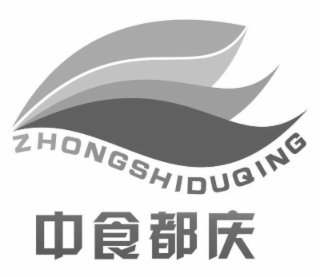 ZHONGSHIDUQING logo