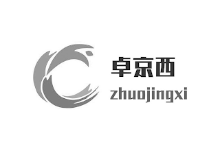 ZHUOJINGXI logo