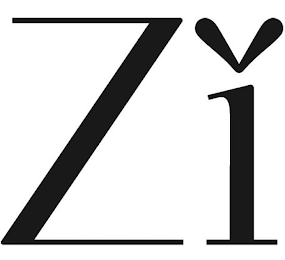 ZI logo