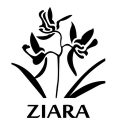ZIARA logo