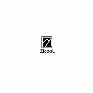 ZICOOL logo