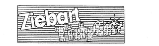 ZIEBART TIDYCAR logo