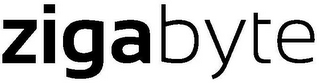ZIGABYTE logo