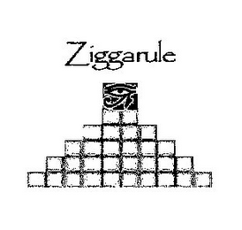 ZIGGARULE logo