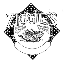 ZIGGIE'S HIGHLY NUTRITIOUS HUMAN GRADE INGREDIENTS logo