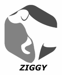 ZIGGY logo