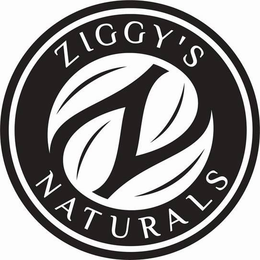ZIGGY'S NATURALS ZN logo