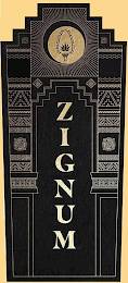 ZIGNUM logo
