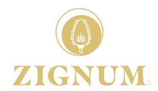 ZIGNUM logo