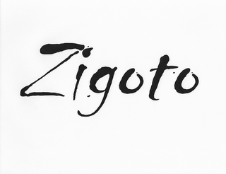 ZIGOTO logo