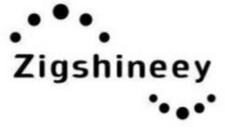 ZIGSHINEEY logo