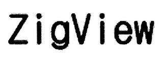 ZIGVIEW logo