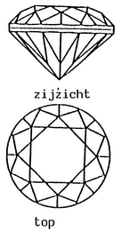 ZIJZICHT TOP logo