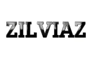 ZILVIAZ logo