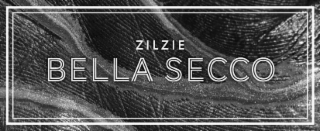 ZILZIE BELLA SECCO logo
