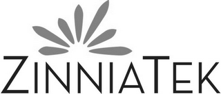 ZINNIATEK logo
