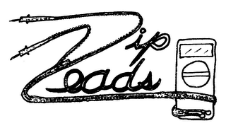 ZIP LEADS logo