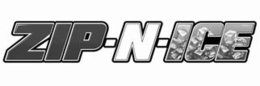 ZIP-N-ICE logo