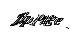 ZIP PAGE logo