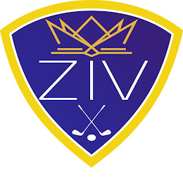 ZIV logo