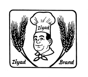 ZIYAD ZIYAD BRAND logo