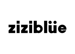 ZIZIBLUE logo