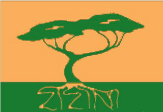 ZIZINI logo