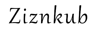 ZIZNKUB logo