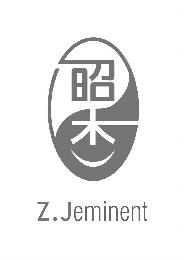Z.JEMINENT logo