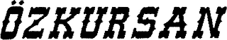 ?ZKURSAN logo