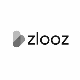 ZLOOZ logo