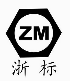 ZM logo