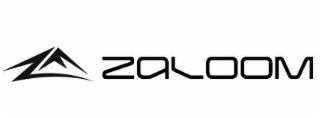 ZM ZALOOM logo