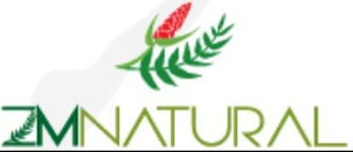 ZMNATURAL logo