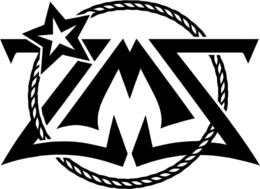 ZMS logo