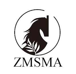 ZMSMA logo
