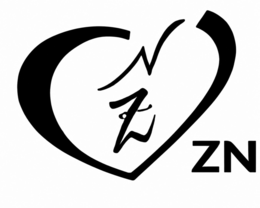 ZN logo