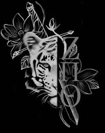 ZNO logo