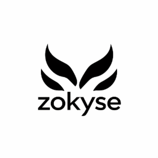 ZOKYSE logo