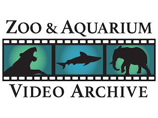 ZOO & AQUARIUM VIDEO ARCHIVE logo