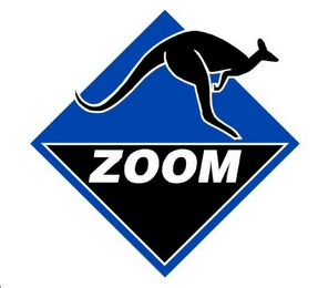 ZOOM logo