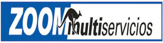 ZOOM MULTISERVICIOS logo