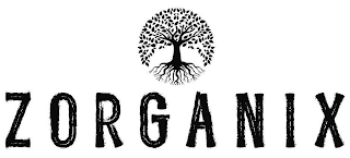 ZORGANIX logo