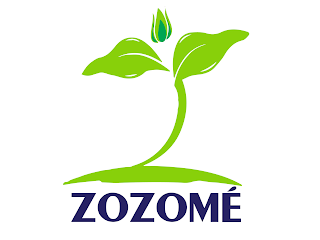 ZOZOMÉ logo