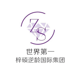 ZS logo