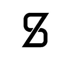 ZS logo