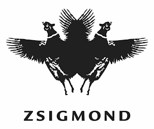 ZSIGMOND logo